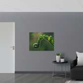 Poster Glanzend – Plant - Groen - Boladeren - Natuur - Krul - 100x75 cm Foto op Posterpapier met Glanzende Afwerking
