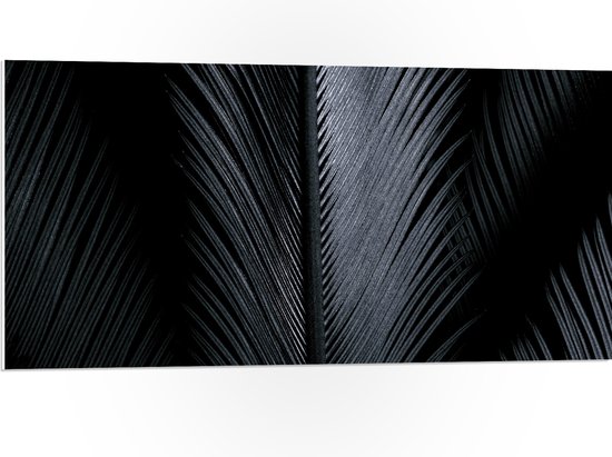 PVC Schuimplaat - Plant - Blad - Zwart - Wit - 100x50 cm Foto op PVC Schuimplaat (Met Ophangsysteem)
