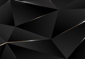 Fotobehang - Vlies Behang - Zwarte Geometrisch 3D Driehoeken met Gouden Lijnen - 312 x 219 cm