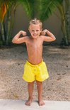 Afbeelding nummer  9