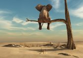 Fotobehang - Vliesbehang - Olifant in de Boom in de Woestijn - 368 x 254 cm