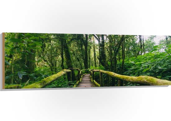 Hout - Houten Brug Volgroeid met Mos in het Bos - 150x50 cm - 9 mm dik - Foto op Hout (Met Ophangsysteem)