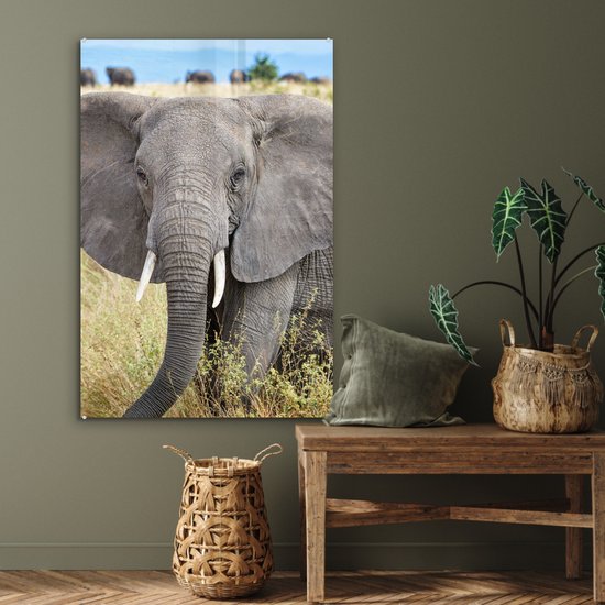 MuchoWow® Peinture sur verre 80x120 cm - Peinture sur verre acrylique - Éléphant - Animaux - Herbe - Nature - Photo sur verre - Peintures