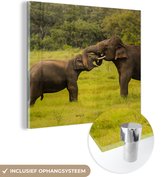 MuchoWow® Peinture sur verre 90x90 cm - Peinture sur verre - Éléphant - Herbe - Animaux - Vert - Photo sur verre acrylique - Peintures