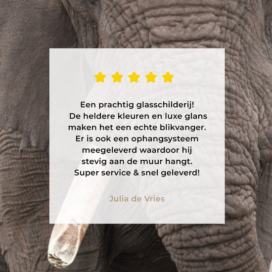 MuchoWow® Peinture sur verre 20x40 cm - Peinture sur verre acrylique - Éléphant - Animaux - Herbe - Nature - Photo sur verre - Peintures