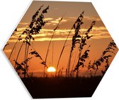 PVC Schuimplaat Hexagon - Zonsondergang in het Weiland - 40x34.8 cm Foto op Hexagon (Met Ophangsysteem)