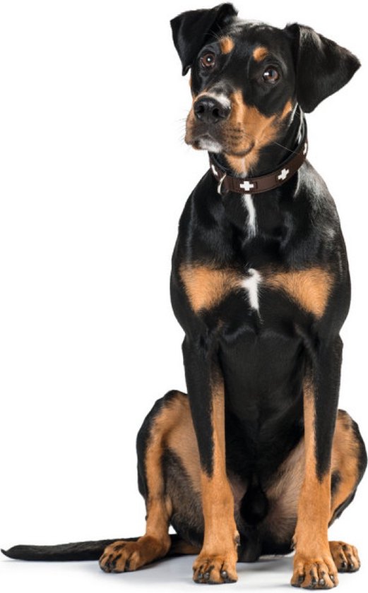Dog collar Hunter Swiss Red/Black (24-28.5 cm)