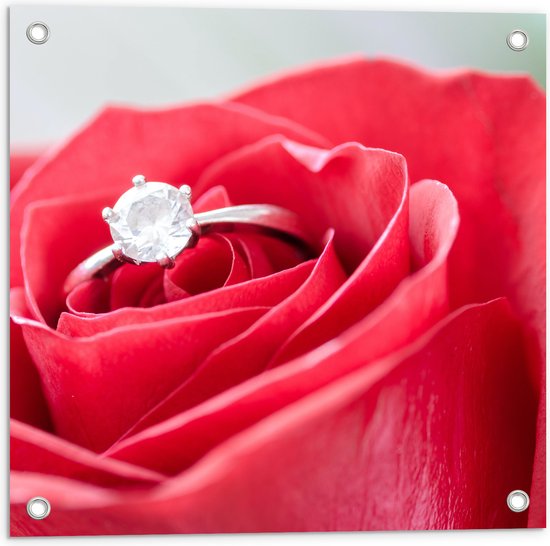 Tuinposter – Bloem - Roos - Ring - Diamant - Rood - 50x50 cm Foto op Tuinposter (wanddecoratie voor buiten en binnen)