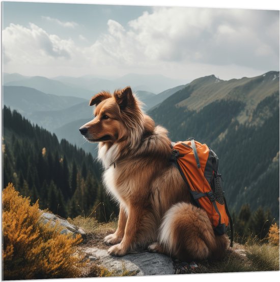 Acrylglas - Reizende Hond met Rugzak op Top van de Berg - 100x100 cm Foto op Acrylglas (Met Ophangsysteem)