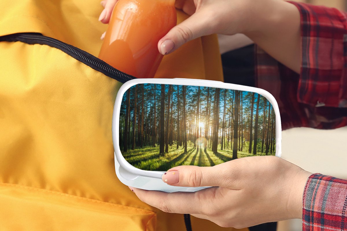 Broodtrommel Wit - Lunchbox - Brooddoos - Zon - Bomen - Landschap - Gras - 18x12x6 cm - Volwassenen