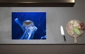 Inductieplaat Beschermer - Wit met Bruine Kwallen Zwemmend in Aquarium - 60x52 cm - 2 mm Dik - Inductie Beschermer van Vinyl
