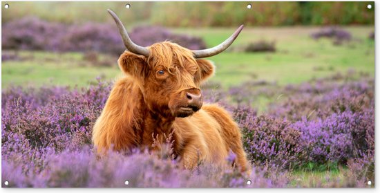 Foto: Wanddecoratie buiten schotse hooglander bruin struiken 160x80 cm tuindoek buitenposter