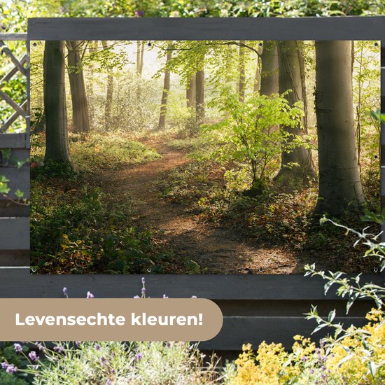 Décoration murale Forêt - Arbre - Chemin - 180x120 cm - Affiche jardin