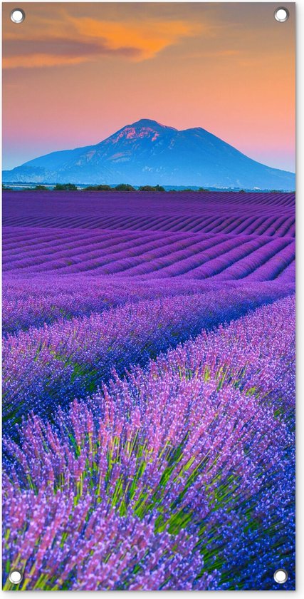 Tuinposter 100 x 100 cm te koop