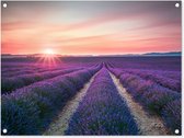 Tuinposter - Lavendel - Bloemen - Paars - Tuin - 80x60 cm - Tuinschilderij - Schuttingdoek - Tuindecoratie - Tuindoek - Buitenposter