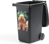 Container sticker Bruine poedel zit in een hondenpark - 40x60 cm - Kliko sticker