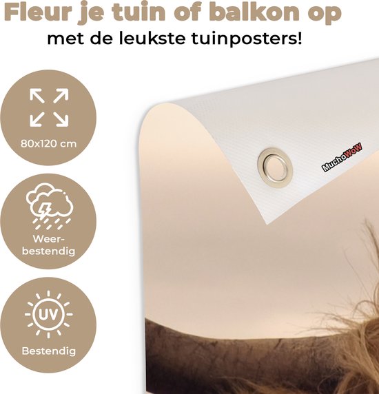 Affiche de jardin - Toile de jardin - Posters de jardin extérieures - Highlander écossais - Animaux - Berg - 80x120 cm - Jardin