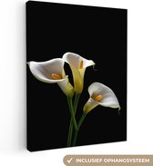 Canvas Schilderij Planten - Bloemen - Wit - Natuur - Botanisch - 30x40 cm - Wanddecoratie