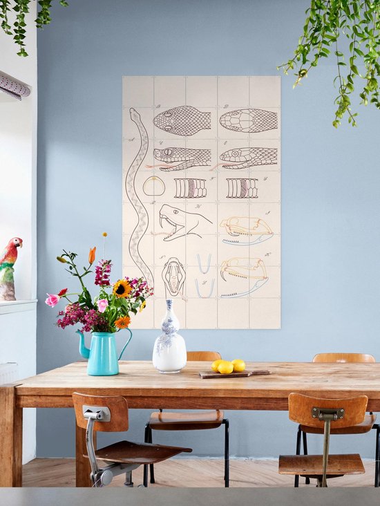 IXXI Serpent - Anatomie, Aster Edition - 100 x 140 cm - Gratis ophangtool - Grote wanddecoratie en posters - Technische Tekening, Illustraties, Line