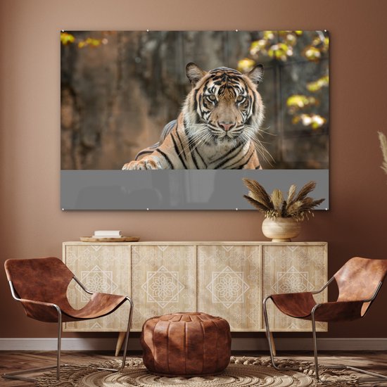 MuchoWow® Peinture sur verre - Tigre - Rochers - Feuilles - 180x120 cm - Peintures sur verre acrylique - Photo sur Glas