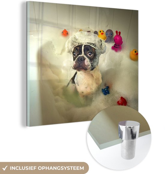Glasschilderij - Hond - Bad - Bad eend - Badmuts - Foto op glas - 50x50 cm - Schilderij glas - Muurdecoratie