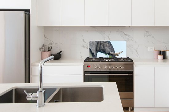 Spatscherm keuken 70x30 cm - Kookplaat achterwand Olifant - Dieren - Grijs - Natuur - Muurbeschermer - Spatwand fornuis - Hoogwaardig aluminium