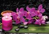 Fotobehang - Vlies Behang - Roze Orchideeën - Spa - Wellness - 312 x 219 cm