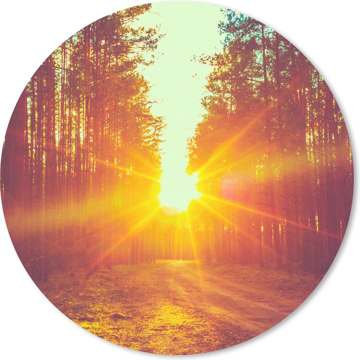 Muismat rond 20x20 cm - Mousepad Zonsondergang - Bomen - Bos - Natuur - Ronde muismatten
