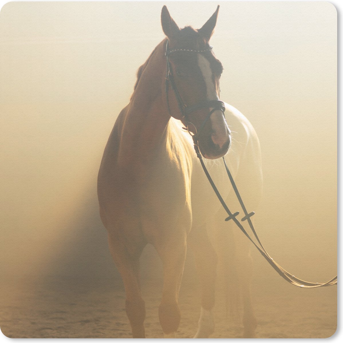 Muismat 30x30 cm - Mousepad Paard - Licht - Zand - Muismatten