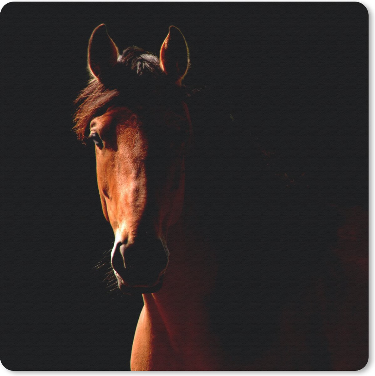 Muismat 20x20 cm - Mousepad Paard - Licht - Portret - Muismatten