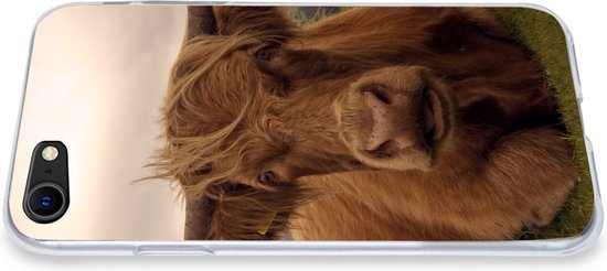Convient pour la coque iPhone SE 2020 - Highlander écossais - Animaux - Berg - Coque de téléphone en Siliconen