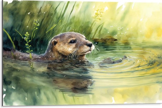 Dibond - Tekening van Zwemmende Otter in de Rivier - 75x50 cm Foto op Aluminium (Wanddecoratie van metaal)