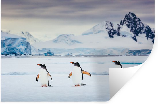 Muurstickers - Sticker Folie - Drie pinguïns - 120x80 cm - Plakfolie - Muurstickers Kinderkamer - Zelfklevend Behang - Zelfklevend behangpapier - Stickerfolie