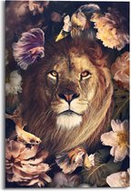 Schilderij Jungle Lion 90x60 cm