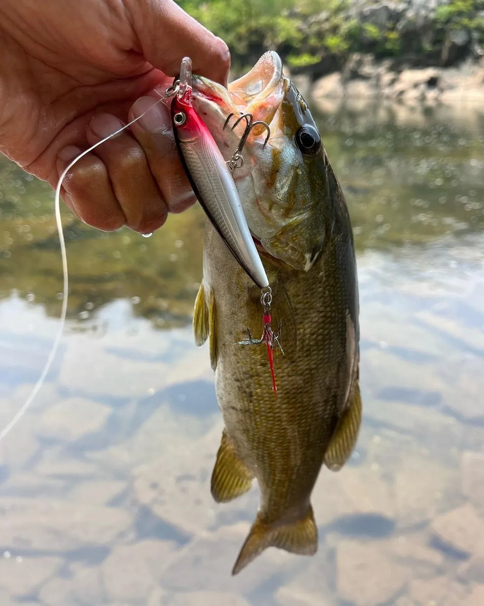 Rapala X-Rap Muddler 10cm Muddler