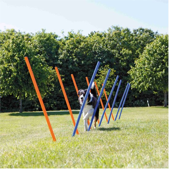 Trixie Hond Activiteit Agility Slalom 115x3 Cm Oranje/Blauw - 12 Stuks Met Draagtas