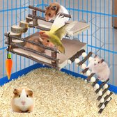 Klein Houten Klimspeelgoed voor Kleine Dieren - 2 Niveaus Activiteit Speelplaats met Ladders en Brug voor Hamsters, Cavia's en Ratten
