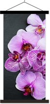 Posterhanger incl. Poster 40x80 cm - Schoolplaat - Orchidee - Bloemen - Roze - Flora - Textielposter - Zwarte latten