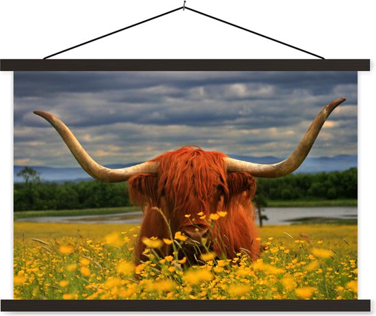 Porte-affiche avec affiche - Affiche scolaire - Scottish Highlander - Animaux - Fleurs - 60x40 cm - Lattes noires