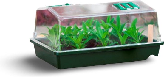 Hassy Goed doen innovatie led mini kweekbak Bestaan Rondsel Niet doen