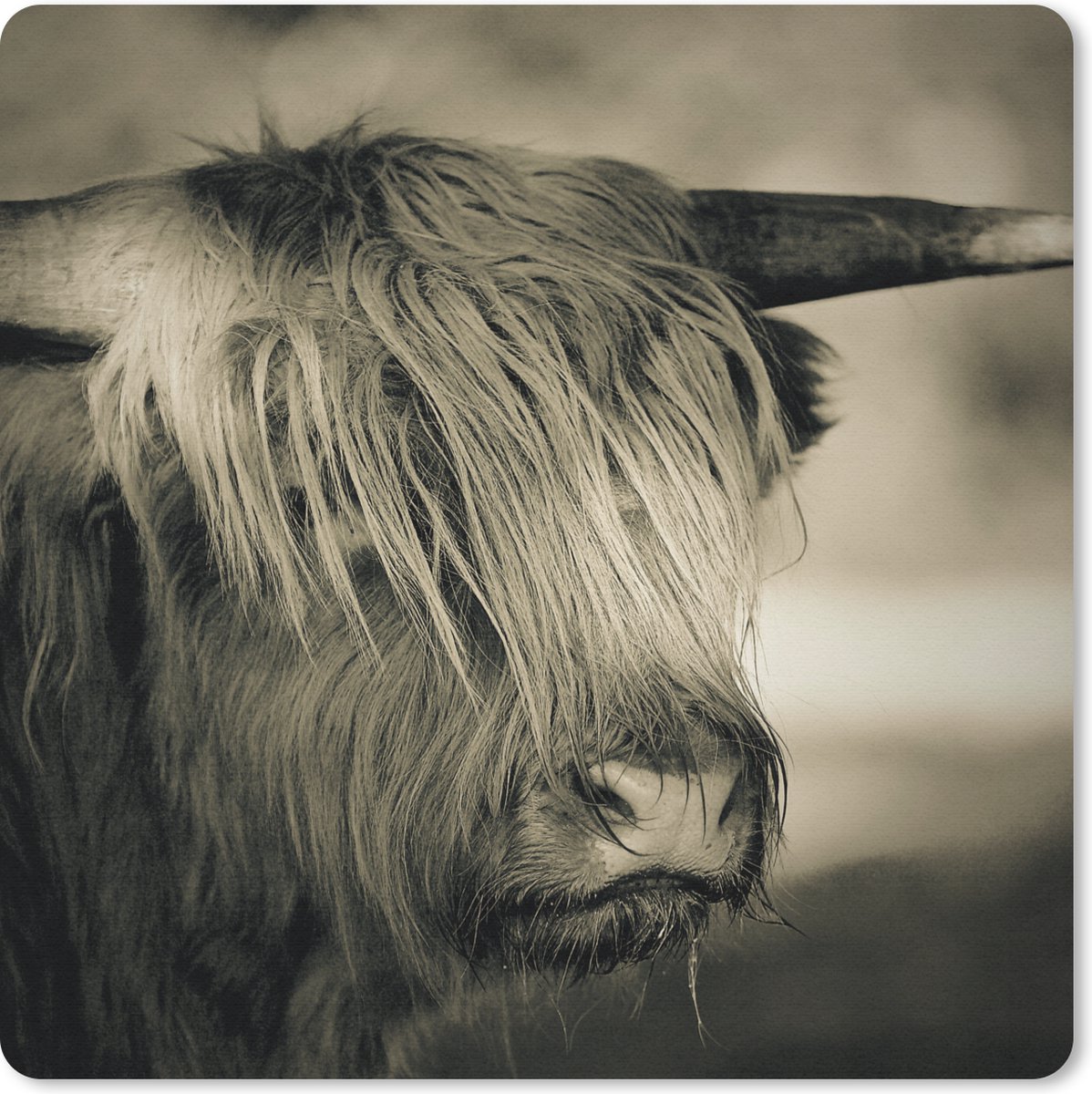 Muismat 30x30 cm - Mousepad Schotse Hooglander - Dieren - Haar - Muismatten