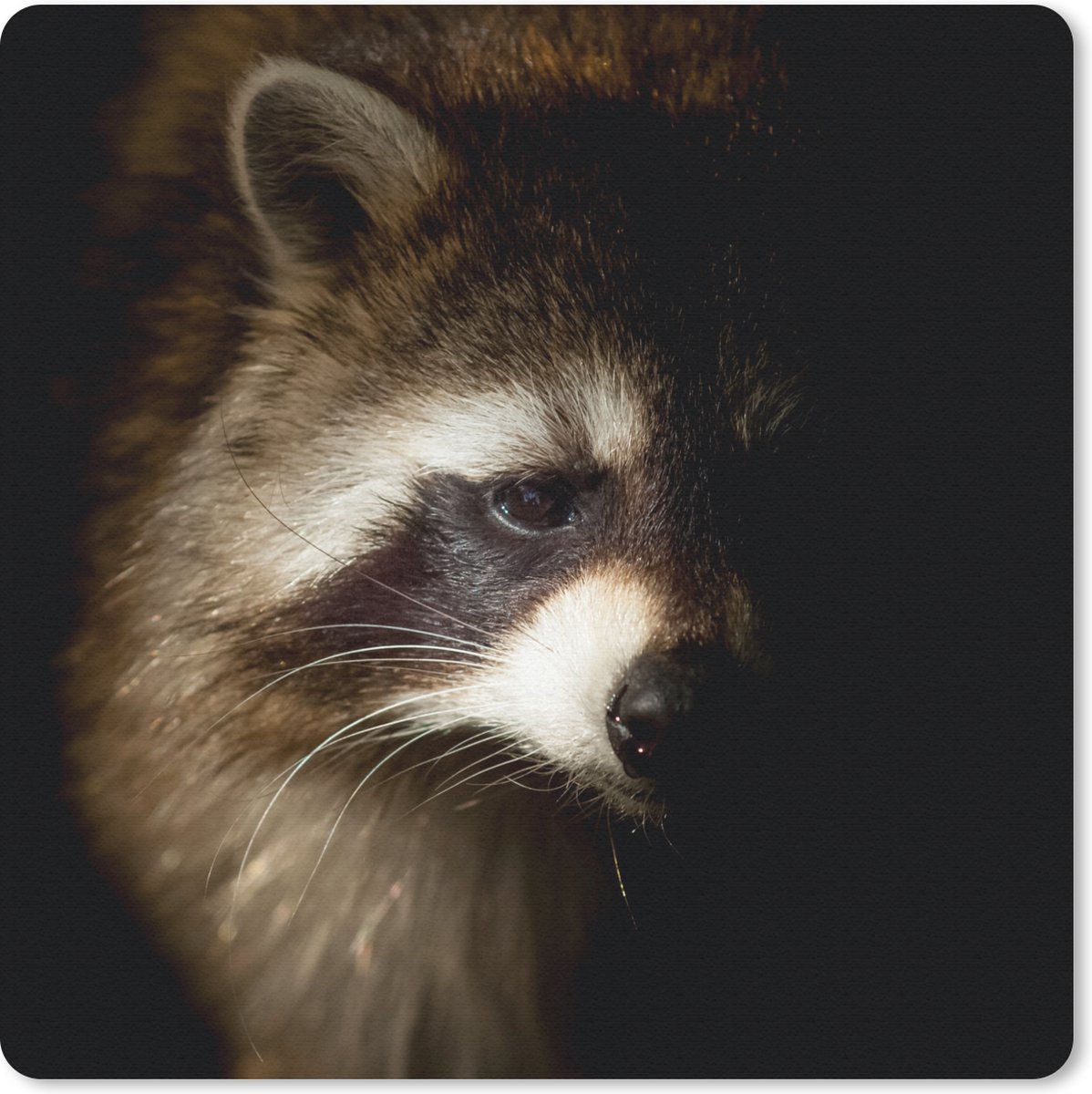 Muismat 30x30 cm - Mousepad Wasbeer - Wilde dieren - Zwart - Muismatten