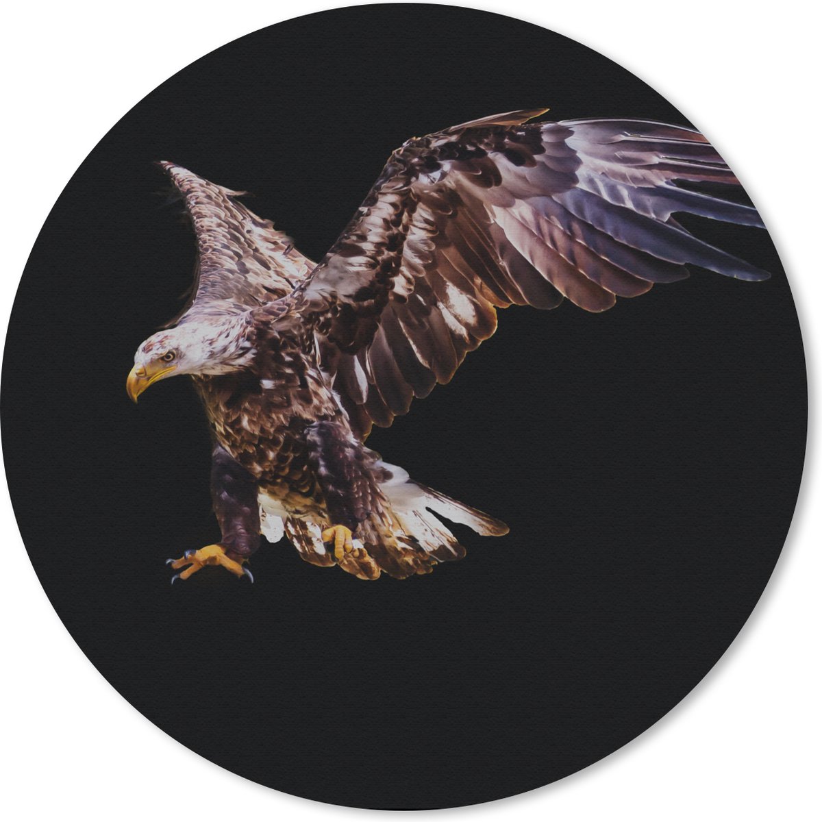 Muismat rond 50x50 cm - Mousepad Adelaar - Vogel - Veren - Ronde muismatten