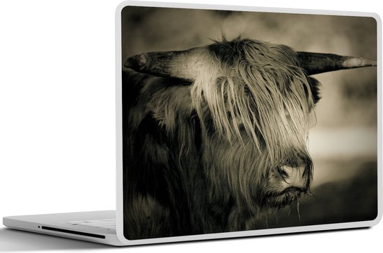 Autocollant pour ordinateur portable - 10,1 pouces - Highlander écossais - Animaux - Cheveux - 25x18cm - Autocollants pour ordinateur portable - Peau pour ordinateur portable - Couverture