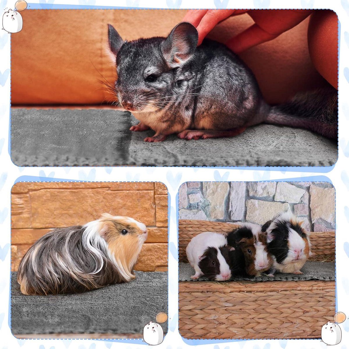 9 tips voor Hamster speelgoed kopen online in shop