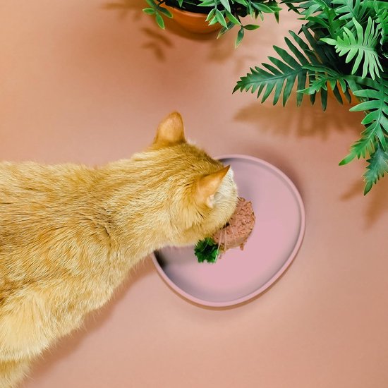 6 Stuks Voederbak Kat,kattenkommenset,Kattenbakken Voederbak Kat voor Katten waterbak,watervoerbak,Roestvrijstalen Kattenvoerbak, Kattenbak Plat Roestvrij Staal Platte voor Katten en Kleine Honden 6 Stuks Voederbak Kat,kattenkommenset,Kattenbakken Voederbak Kat voor Katten waterbak,watervoerbak,Roestvrijstalen Kattenvoerbak, Kattenbak Plat Roestvrij Staal Platte voor Katten en Kleine Honden