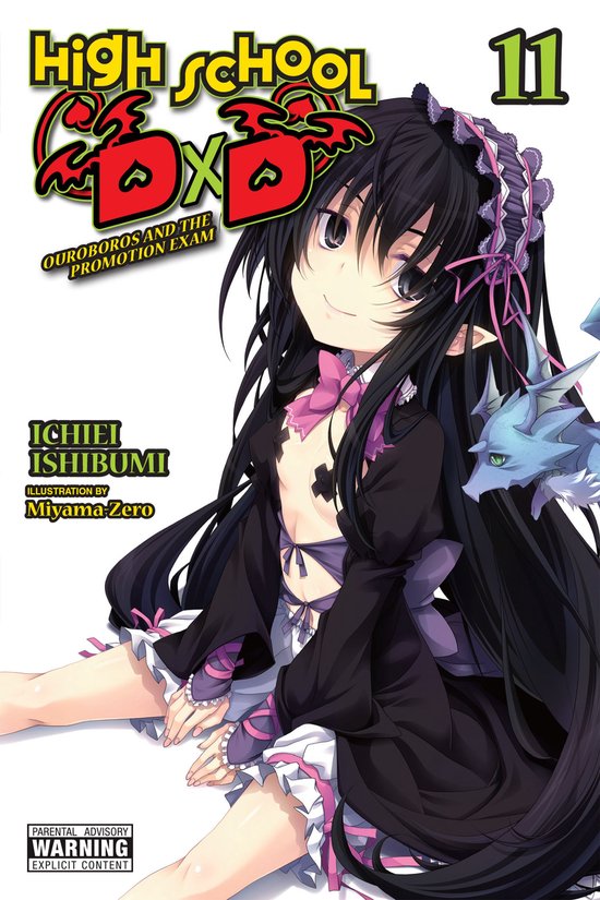 High School DxD (light novel) 11 - High School DxD, Vol. 11  ... - cover