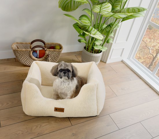 ACAZA Lit pour chien - Coussin pour chien - Lit pour chien - 63 x 53 cm - Beige - Tissu Teddy - Coussin pour chien lavable - Lits pour chiens