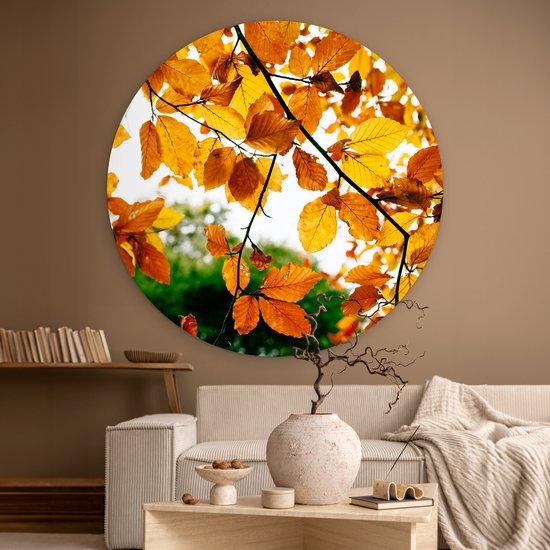 WallCircle - Wall Circle - Wall Circle Indoor - Feuilles d'Automne - Arbre - Rural - 120x120 cm - Décoration murale - Peintures Ronds XXL