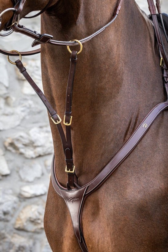Martingale de course collégiale – GS Equestrian